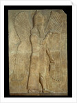 Mesopotamian relief of blessing winged genius by Anonymous