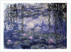 Waterlilies by Claude Monet