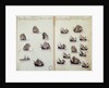 16th century manuscript depicting Portuguese fleet by Anonymous