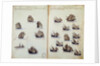 16th century manuscript depicting Portuguese fleet by Anonymous