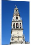 La Mezquita Bell Tower by Anonymous