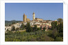 Vinci is the birthplace of Leonardo da Vinci by Anonymous