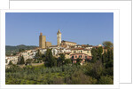 Vinci is the birthplace of Leonardo da Vinci by Anonymous