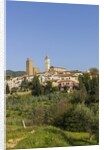 Vinci is the birthplace of Leonardo da Vinci by Anonymous