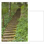 Bosco della Ragnaia, garden created by Sheppard Craige