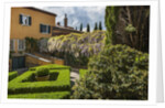 Villa La Foce Garden by Anonymous