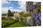 Villa La Foce Garden by Anonymous