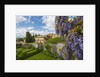 Villa La Foce Garden by Anonymous