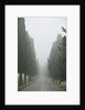 Road to Panna by Anonymous