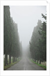 Road to Panna by Anonymous