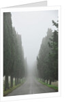 Road to Panna by Anonymous