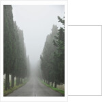 Road to Panna by Anonymous