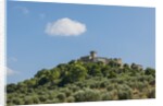 View of Capalbio by Anonymous