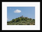 View of Capalbio by Anonymous