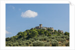 View of Capalbio by Anonymous