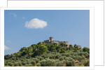 View of Capalbio by Anonymous