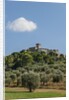 View of Capalbio by Anonymous