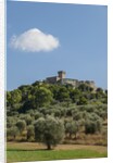 View of Capalbio by Anonymous