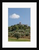 View of Capalbio by Anonymous
