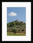 View of Capalbio by Anonymous