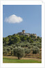 View of Capalbio by Anonymous