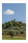 View of Capalbio by Anonymous