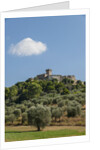 View of Capalbio by Anonymous