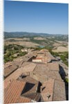 View from Radicondoli by Anonymous