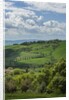 Val d'Orcia View from Villa La Foce by Anonymous