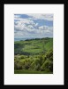 Val d'Orcia View from Villa La Foce by Anonymous