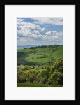 Val d'Orcia View from Villa La Foce by Anonymous