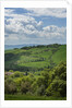 Val d'Orcia View from Villa La Foce by Anonymous