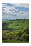 Val d'Orcia View from Villa La Foce by Anonymous