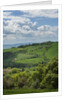 Val d'Orcia View from Villa La Foce by Anonymous