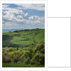 Val d'Orcia View from Villa La Foce by Anonymous