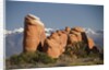 Devil's Garen and the La Sal Mountains by Anonymous