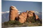Devil's Garen and the La Sal Mountains by Anonymous