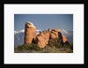 Devil's Garen and the La Sal Mountains by Anonymous