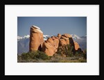 Devil's Garen and the La Sal Mountains by Anonymous