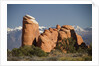 Devil's Garen and the La Sal Mountains by Anonymous
