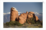 Devil's Garen and the La Sal Mountains by Anonymous