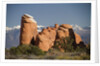Devil's Garen and the La Sal Mountains by Anonymous