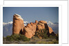 Devil's Garen and the La Sal Mountains by Anonymous