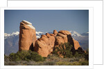 Devil's Garen and the La Sal Mountains by Anonymous
