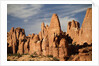 Arches National Park rock formations by Anonymous