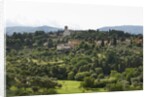 View of San Miniato from Forte Belvedere by Anonymous