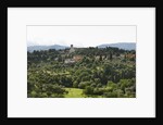 View of San Miniato from Forte Belvedere by Anonymous