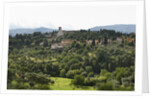 View of San Miniato from Forte Belvedere by Anonymous