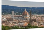 View of Santa Maria del Fiore Cathedral and Palazzo Vecchio from Forte Belvedere by Anonymous