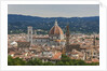 View of Santa Maria del Fiore Cathedral and Palazzo Vecchio from Forte Belvedere by Anonymous